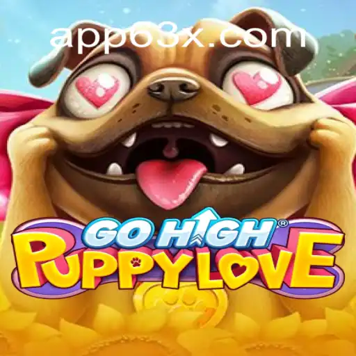 63X.COM Casino App